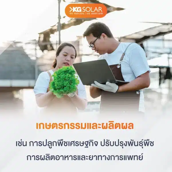 boi ธุรกิจเกษตรกรรมและผลิตผล