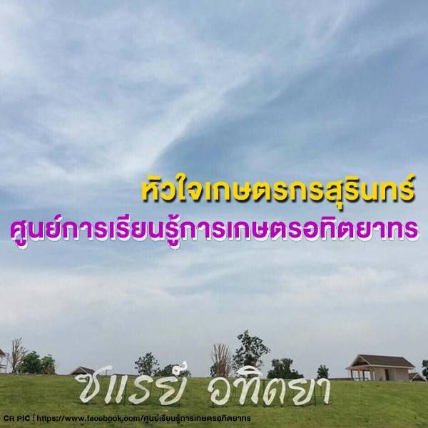 เกษตรอทิตยาทร เกษตรกรสุรินทร์